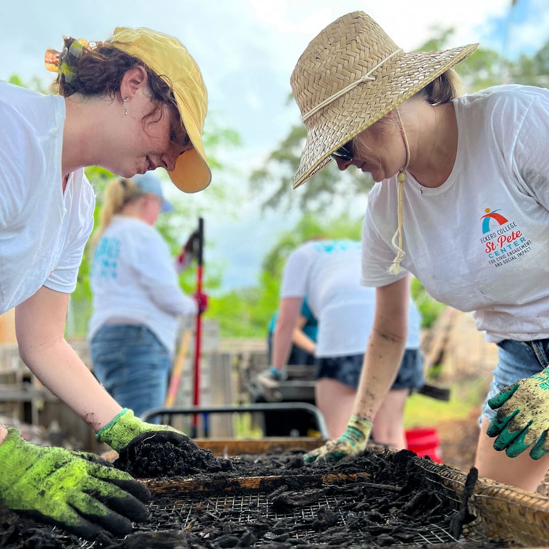 Eckerd College students, staff, faculty and alumni volunteer with the St. Pete Youth Farm during the 2022 Day of Service. 